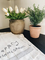 Tulip Bundle
