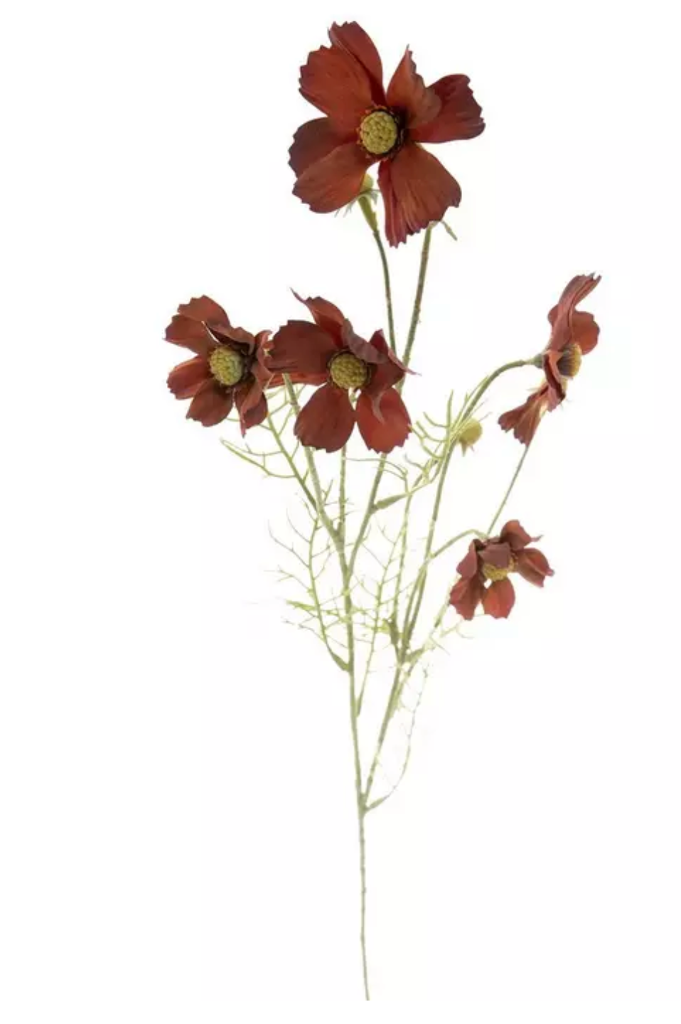 Fall Flower Stem