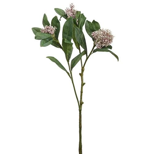 Sedum Pick Floral