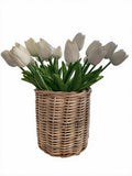 Tulip Bundle