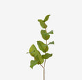 Greenery Stem-Salal Leaf