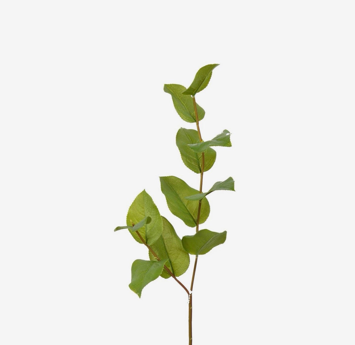 Greenery Stem-Salal Leaf