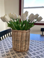 Tulip Bundle